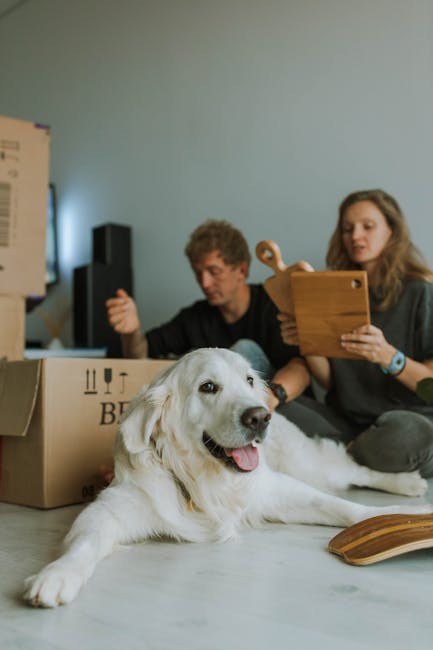 A young couple is seated on the floor of a sparsely furnished room, surrounded by moving boxes made of cardboard, some of which are open and contain various household items. The man, with curly hair, 
